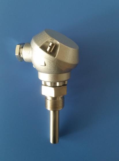 2 - manica del cavo di Steelbarded di resistenza al calore del rame del sensore di temperatura di RTD della sonda di 25mm