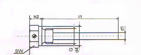 Termocoppia Thermowell di acciaio inossidabile per il termometro bimetallico