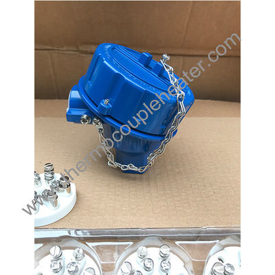 blu testa di termocoppia a prova di esplosione Bp5e ex-proof