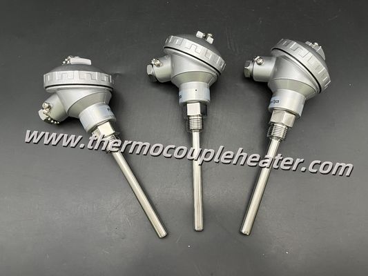 Accurate Stable: Assembled PT100 RTD / Thermocouple Temp Sensor with Transmitter  4~20mA