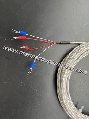 RTD Sensore di temperatura PT100 Sonda di 2,0 mm di diametro x 3 metri di lunghezza