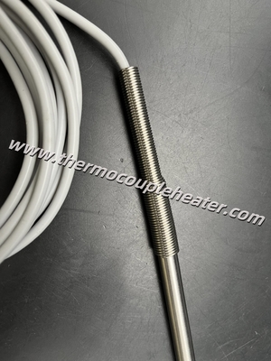 RTD Sensore di temperatura PT100 Probe SS316 Involucro con cavo di silicone
