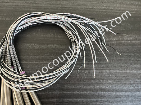 Caldaia a cartuccia 220v 110v diametro caldaia a cartuccia elettrica con termopare Pt100