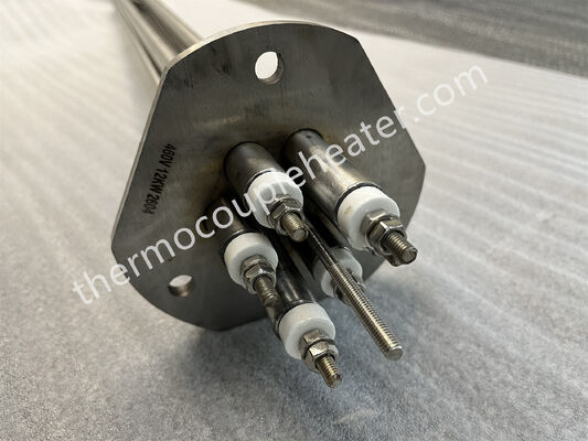 Caldaie a flange a immersione in acqua per acqua e altri liquidi
