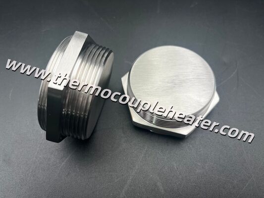 Custom SS304 Threaded Screw Plug Flange For Immersion Heater With Matching Terminal Box