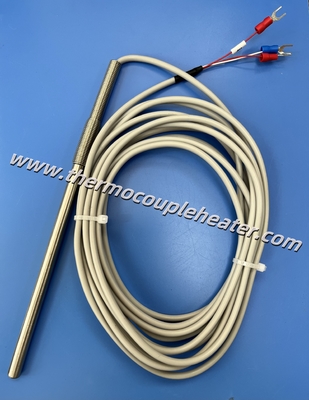RTD Sensore di temperatura PT100 Probe SS316 Involucro con cavo di silicone